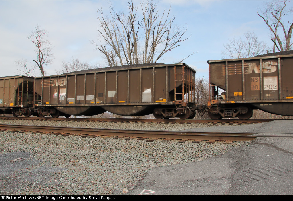 NS 10250